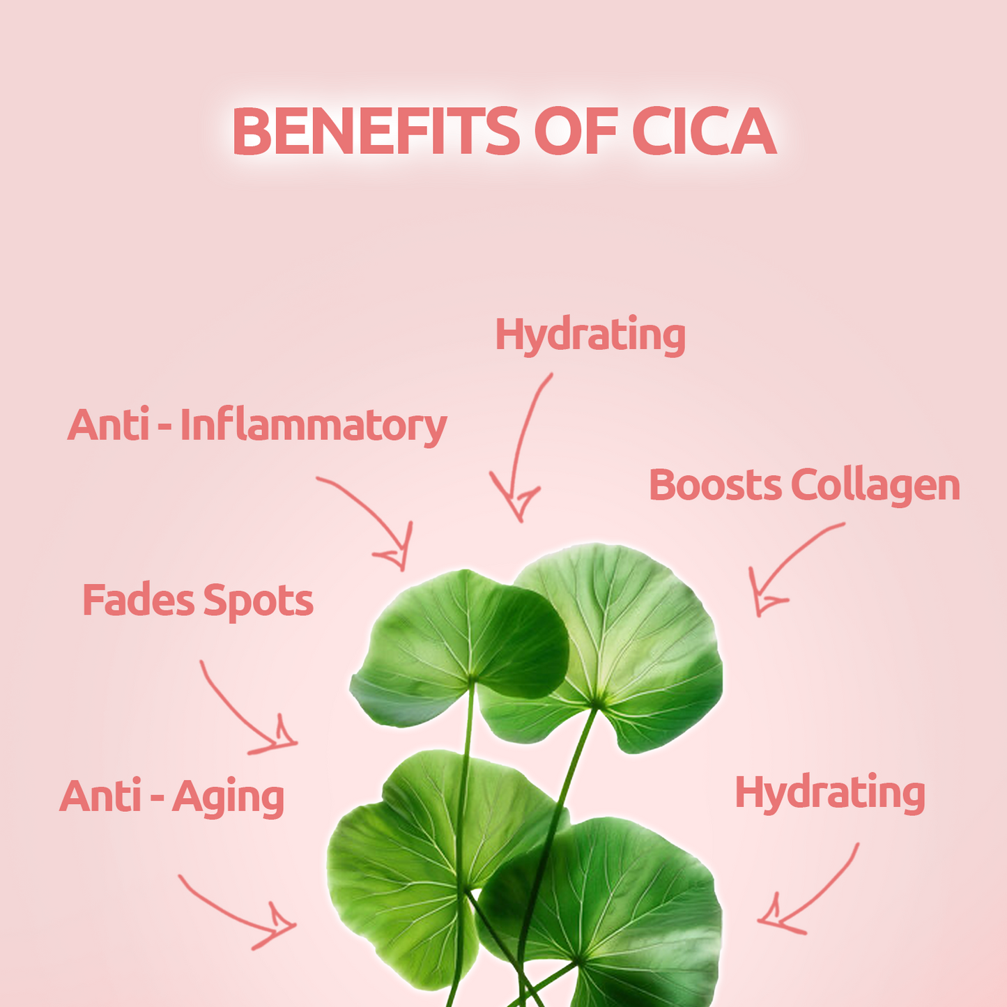 [Package Set] Radiance Repair Skincare Matte Makeup Cushion - Hazelnut